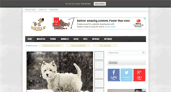 Desktop Screenshot of imascotas.es